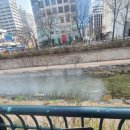 오케이 행정사 사무소 이미지