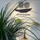 모온떡엔차 이미지