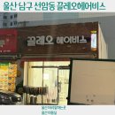 끌레오헤어비스