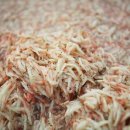 곰소펜션 이미지