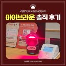 라이브펫 | 마이브라운 펫보험 청구 솔직 추천 후기