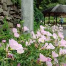 쌍내경로당 이미지