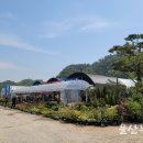 천상리농장 이미지