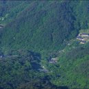 순천-32호 이미지