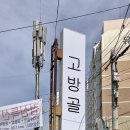 고방골오리 이미지