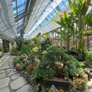 신안슈퍼 이미지