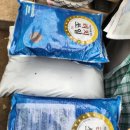 쏘일 | 리치쏘일 분갈이 방법