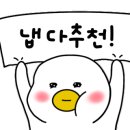뽀송캣 이미지