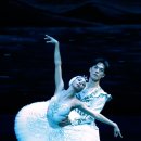 2021 수원발레축제 이미지