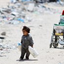 가자먹으로 이미지