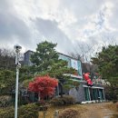 오마모리 | 대구 가창 신상 분위기 좋은 대형카페 솔직후기 (오마모리)