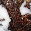 홍천농장 이미지