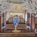 현중무관 백호 합기도 이미지