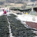 대부산민박 이미지