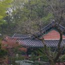 광덕사