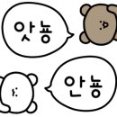 영이아로마