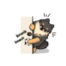 포동이 펫살롱 이미지