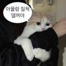 카페드플로레cafedeflore | [파리 여행 1,2일차] 오르세, Cafe de Flore, 오랑주리, Girafe 에펠탑뷰 예약, Bateaux Parisiens Premier