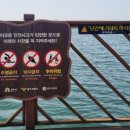 계룡 낚시터 이미지