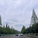 [청도] 청도 소싸움 경기장 다녀왔어요｜배팅 방법부터 운영시간 정리