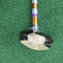 옥천파크 | 옥천 골프샵에서 혼마 5스타 파크골프채 아버지 선물 후기