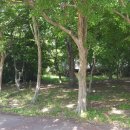 순천시야영장 이미지