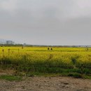 정민내과의원 이미지