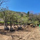 가창초등학교 우록분교 이미지