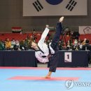 승승장구 태권도 이미지