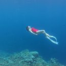 P-6527 | [보홀 다이빙] (4) 스노클링(나팔링,돌조비치)/Panglao Sea Resort/공항