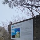 관음봉 한운 이미지
