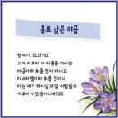 하.오.맙 13)하나님을 이겼다고 생각하는 모든 이스라엘들에게(창세기32장28절,창세기35장10절,호세아12장3절,마가복음8장33절) 이미지