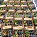 퇴계원읍종합행정타운 이미지