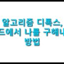 알고리즘 디톡스 완벽 가이드: 디지털 자율성 극대화하는 실행 전략 총정리