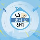 쏘아해