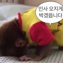 우림,주은청설아파트 이미지