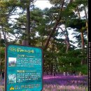 문장대 야영장 이미지