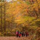 묵계초등학교 이미지