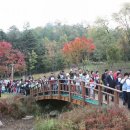 일자산자연공원(허브천문공원) 이미지