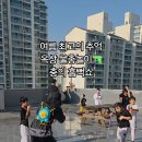 충의 K타이거즈 태권도장 이미지