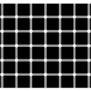 흑색점과 백색점은 각각 몇개일까?? 이미지