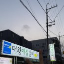 세명사료 | 먹고 또 먹고 (๑´ڡ`๑)