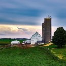 황혼농장 이미지