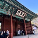 데브시스터즈(주) | 쿠키런 사라진 문화유산 전시 후기, 덕수궁 돈덕전 문화의날 무료 관람