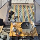 문동방파제 이미지