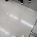 꾸우밍 이미지
