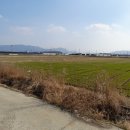 밀양농협주유소 이미지