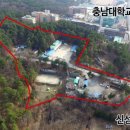 유성세탁소 네이버블로그