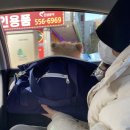 호두데이