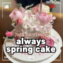 산타스프링 | 주문제작 생화꽃 케이크로 기념일 챙기기 :: 얼웨이즈스프링 솔직 후기